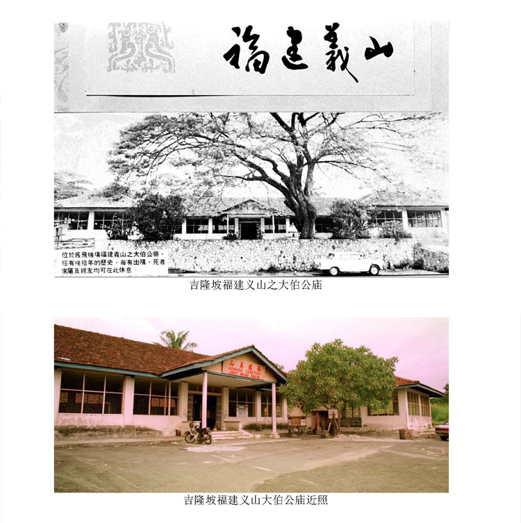 history
